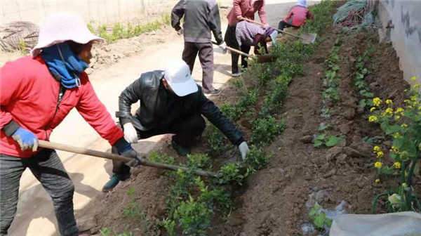 山東安丘經(jīng)濟(jì)開發(fā)區(qū)四項措施全力加快推進(jìn)省食安城復(fù)審和國家衛(wèi)生城創(chuàng)建工作