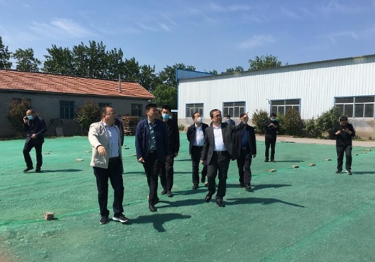 壽光市市委副書記李鵬帶隊調(diào)研重點工作開展情況