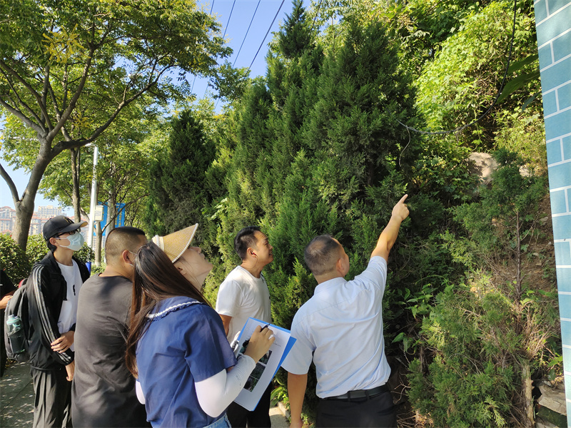 開(kāi)展市容環(huán)境大整治——嶗山區(qū)城市管理局在行動(dòng)