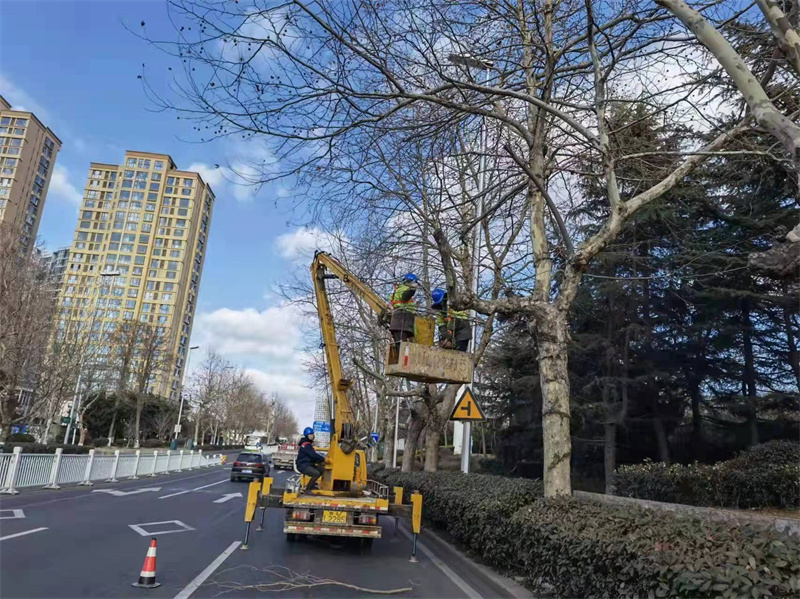 嶗山環(huán)衛(wèi)冬季園林養(yǎng)護(hù)正當(dāng)時(shí)