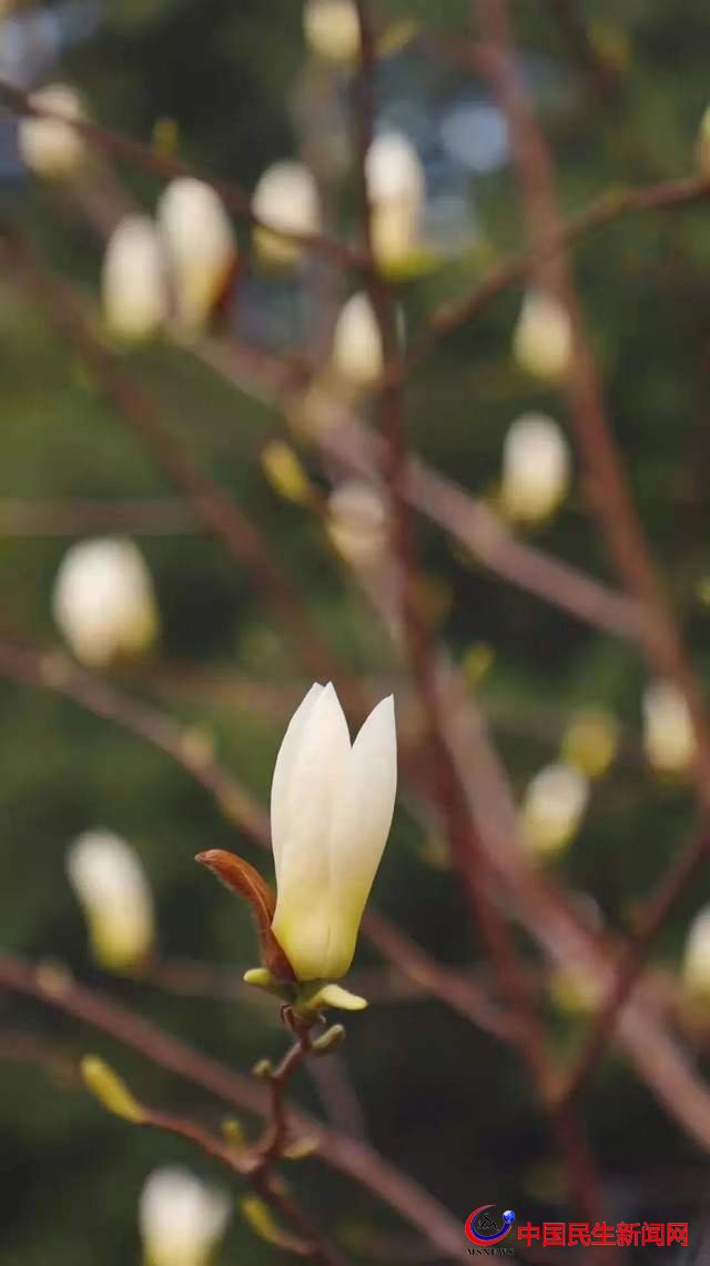 “凝聚精神的力量”恒星學(xué)院文化系列報道之六：核心精神：同心同德 自信自強